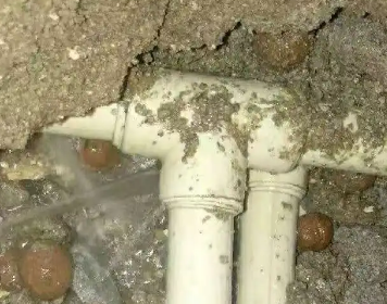 南康测漏水多少钱