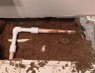 南康测漏水哪家好