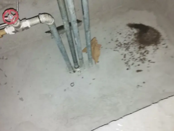 南康卫生间测漏水价格明细