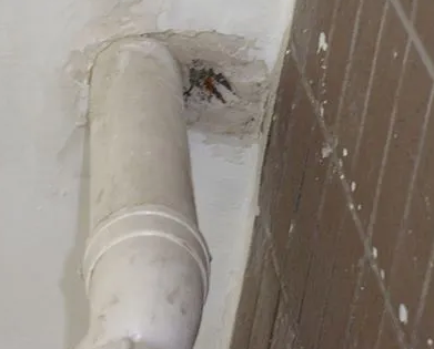 南康漏水检测哪家好